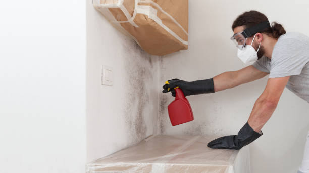 Professional Black Mold Remediation technician working in West Palm Beach, FL